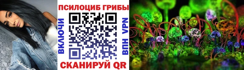 Галлюциногенные грибы Psilocybe  МЕГА ССЫЛКА  Липки 